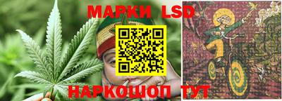 jwh Будённовск