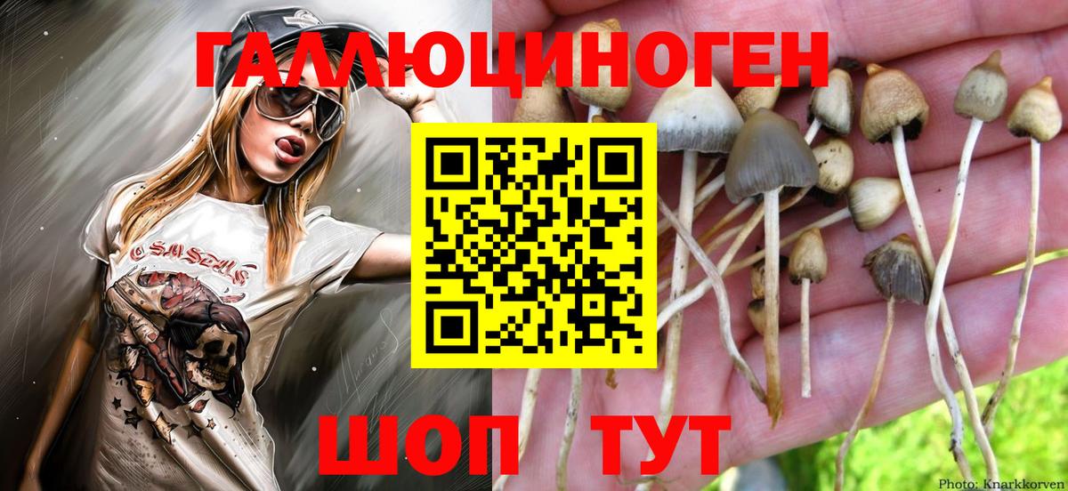 Псилоцибиновые грибы прущие грибы  Вход с VPN  Чернушка 