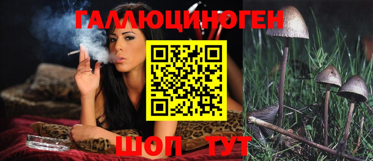 Псилоцибиновые грибы GOLDEN TEACHER Чернушка